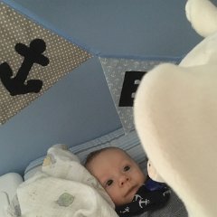 IMG 024